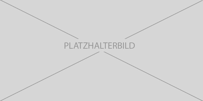 Platzhalterbild groß quer